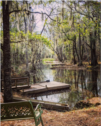 Savannah Ogeechee Canal Museum and Nature Center photo 3