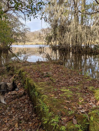 Savannah Ogeechee Canal Museum and Nature Center photo 4