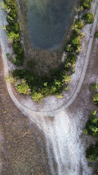 Miramar Pineland Park photo 2