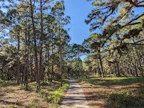 Pirate Cove Water Park photo 4