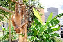 Ararat Ridge Zoo