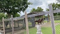 Ararat Ridge Zoo photo 2