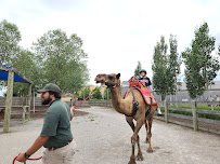 Ararat Ridge Zoo photo 4