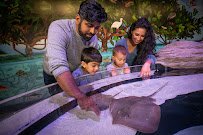 Aquarium of Niagara