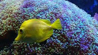 Aquarium of Niagara photo 2