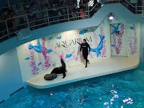 Aquarium of Niagara photo 3