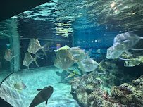 Aquarium of Niagara photo 4