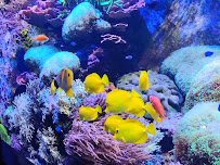 Aquarium of Niagara photo 4