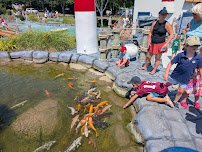 Cape Escape Adventure Golf photo 6