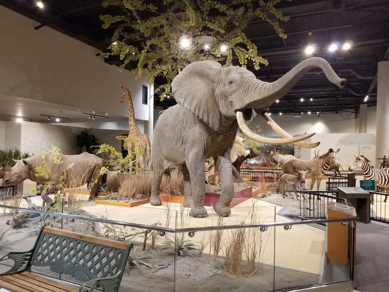 Great Plains Zoo photo 3