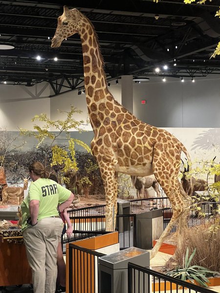 Great Plains Zoo photo 4