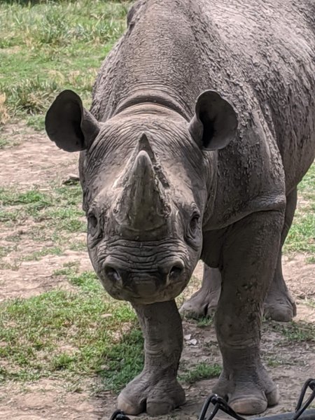 Great Plains Zoo photo 5