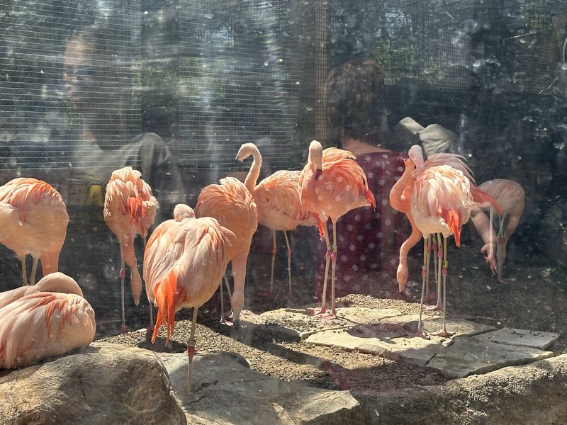 Great Plains Zoo photo 6