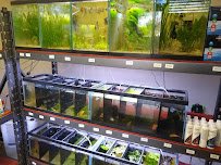 Abstract Aquariums & Cafe