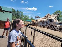 The Wild Animal Park