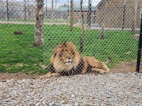 The Wild Animal Park photo 3