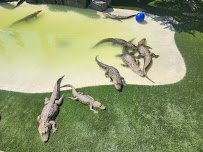 The Wild Animal Park photo 5