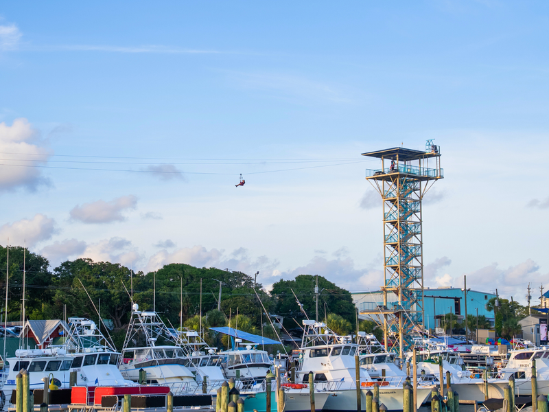 HarborWalk Adventures