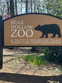 Bear Hollow Zoo photo 4