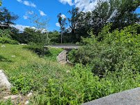 Tunnel to Trailside Zoo & Pool photo 3