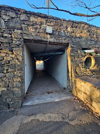 Tunnel to Trailside Zoo & Pool photo 5