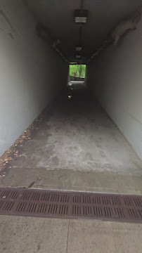 Tunnel to Trailside Zoo & Pool photo 6