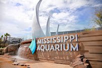 Mississippi Aquarium