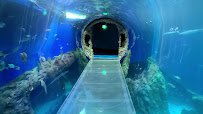 Mississippi Aquarium photo 2