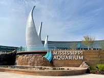 Mississippi Aquarium photo 4