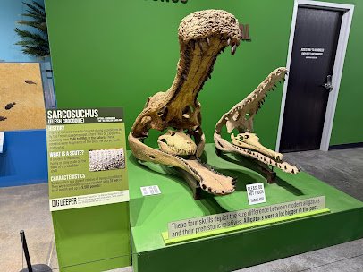 Indiana Dinosaur Museum photo 4