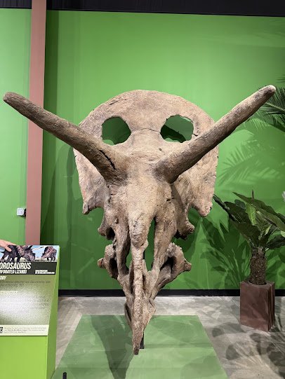 Indiana Dinosaur Museum photo 5
