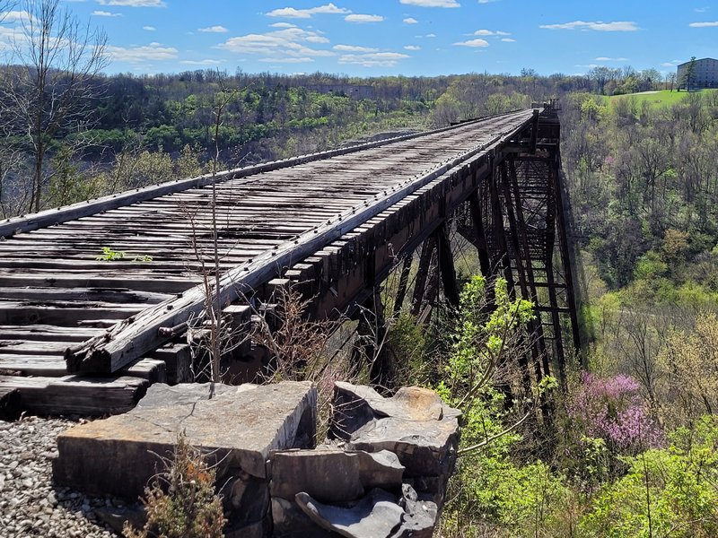 Bluegrass Scenic Railroad and Museum photo 3