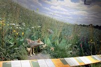 Peggy Notebaert Nature Museum photo 3