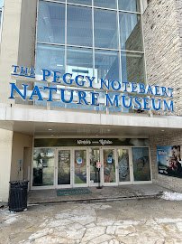 Peggy Notebaert Nature Museum photo 4