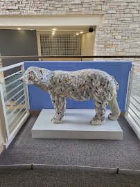 Peggy Notebaert Nature Museum photo 5