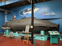Paterson Museum photo 5