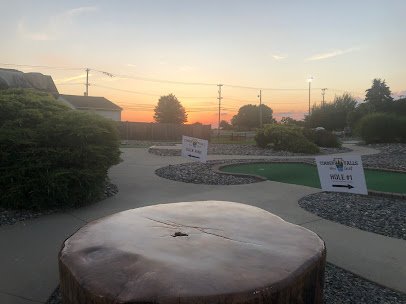 Timber Falls Mini Golf LLC photo 3