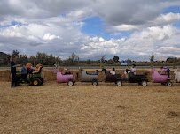 Hee Haw Farms @ Oliver’s Place photo 4