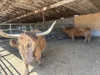 Hee Haw Farms @ Oliver’s Place photo 5