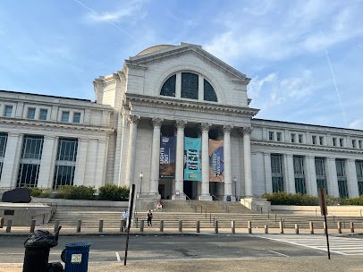 Smithsonian National Museum of Natural History photo 3
