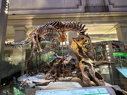 Smithsonian National Museum of Natural History photo 4