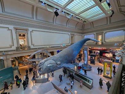 Smithsonian National Museum of Natural History photo 5