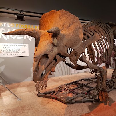 Smithsonian National Museum of Natural History photo 6