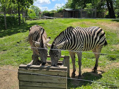 Scovill Zoo photo 5