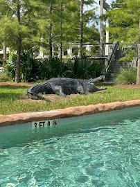 Cool Zoo Waterpark photo 4