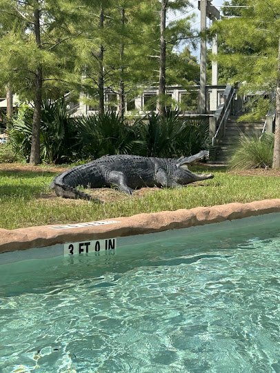 Cool Zoo Waterpark photo 4