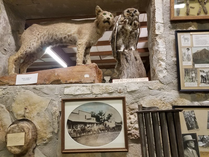Frontier Times Museum photo 4