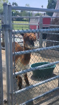 Parnell Storybook Zoo