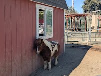 Parnell Storybook Zoo photo 4