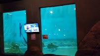 Jenkinson's Aquarium photo 2